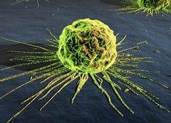 Рак. Перезагрузка